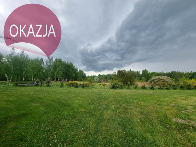 Obiekt Sprzedaż Kazimierzów 14