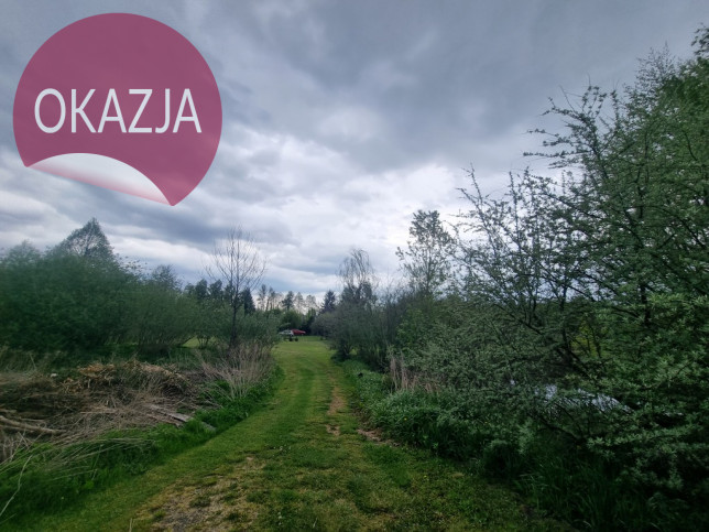 Obiekt Sprzedaż Kazimierzów 15
