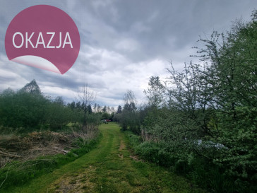 Obiekt Sprzedaż Kazimierzów